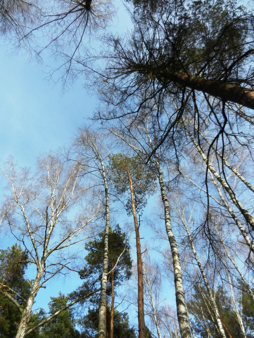 DSCN2648.JPG