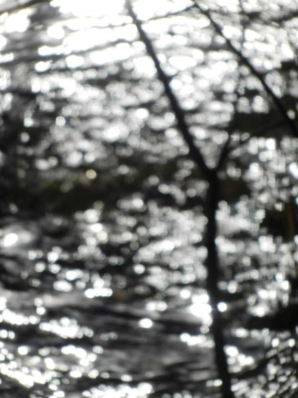 DSCN2657.JPG