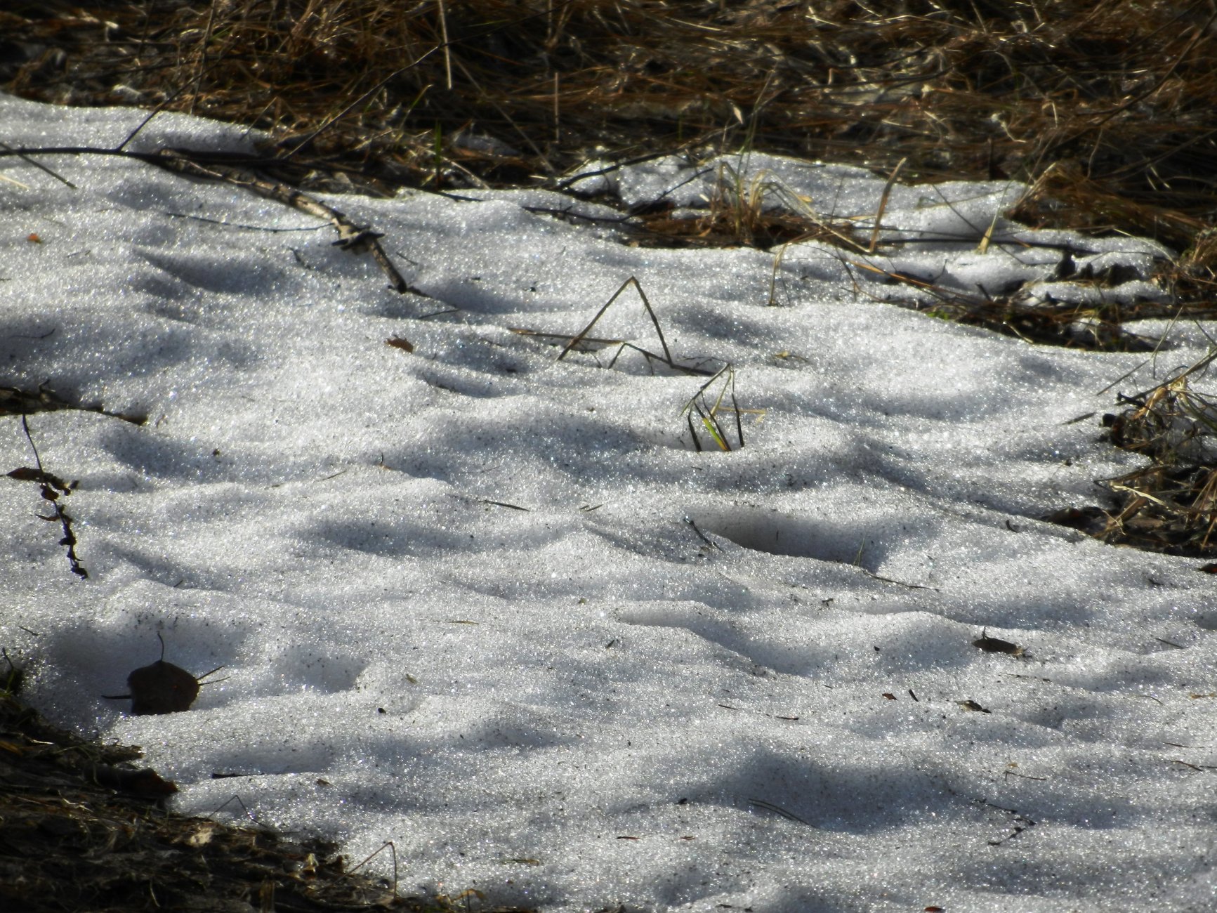 DSCN2660.JPG
