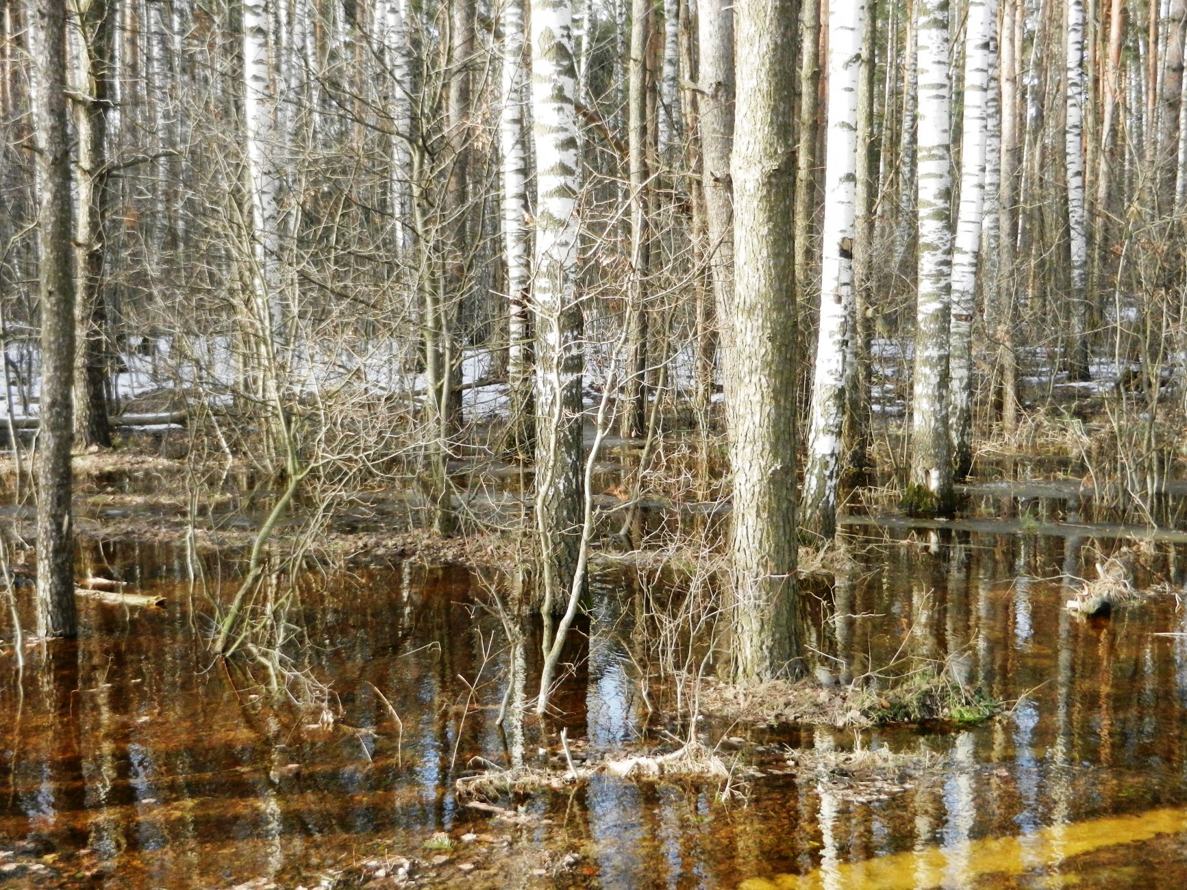 DSCN2662.JPG