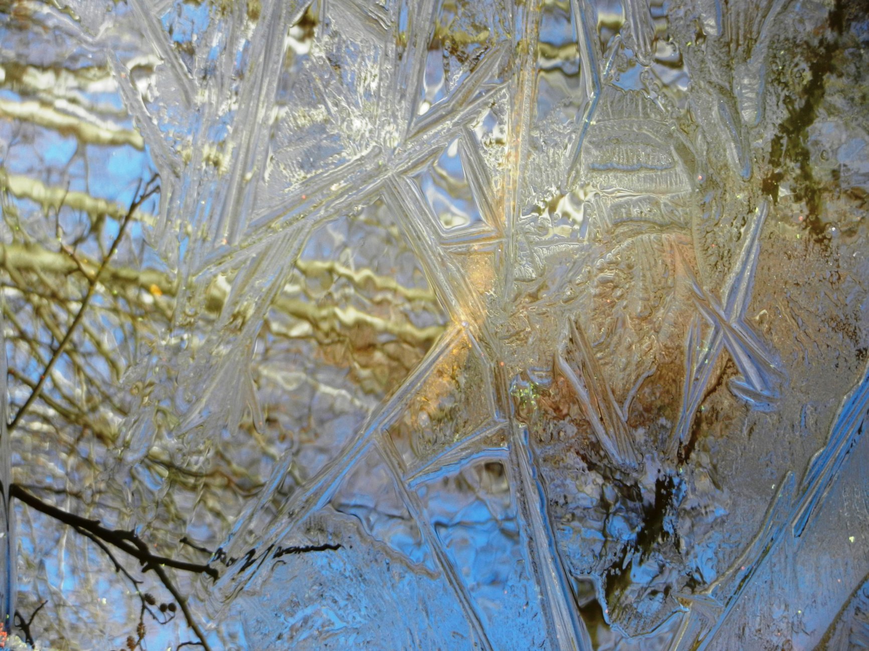 DSCN2670.JPG