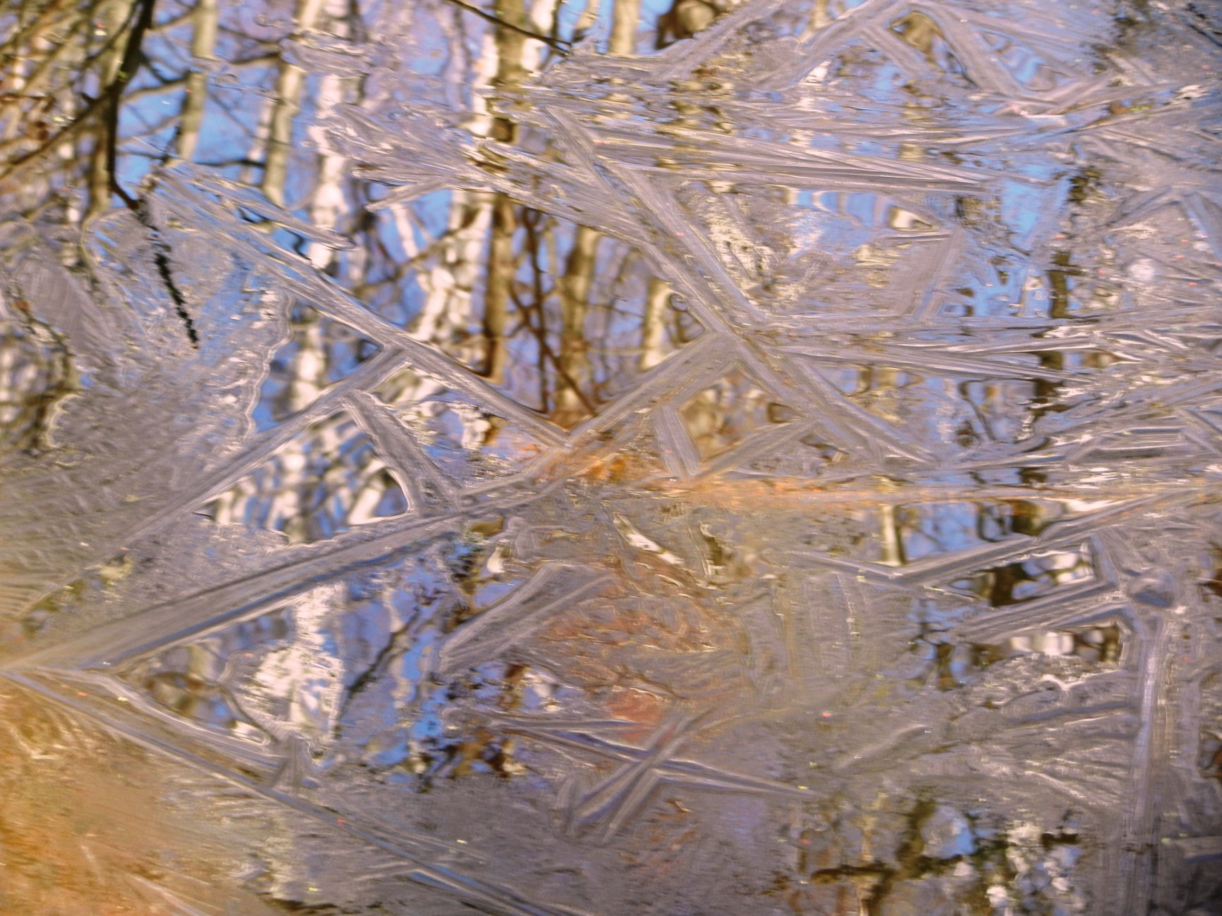 DSCN2671.JPG