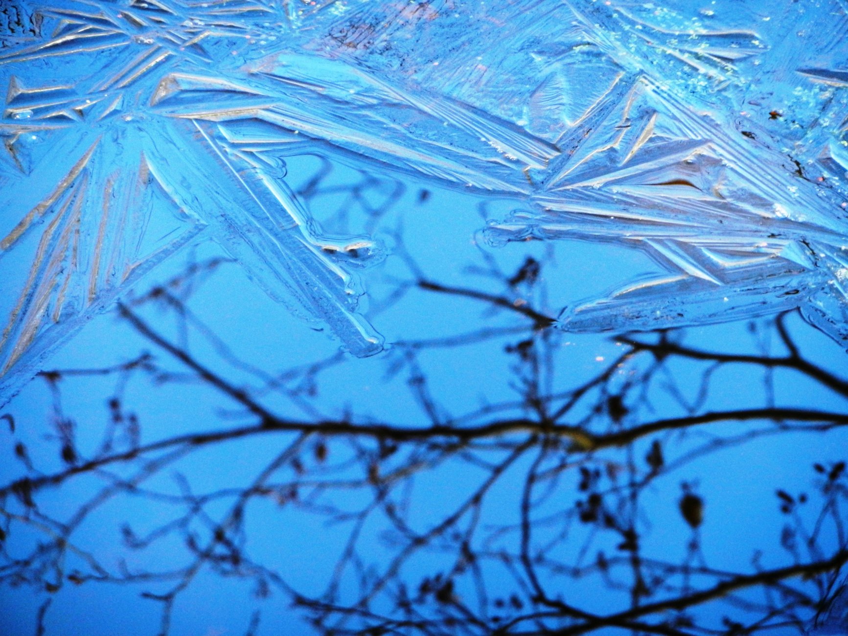 DSCN2673.JPG