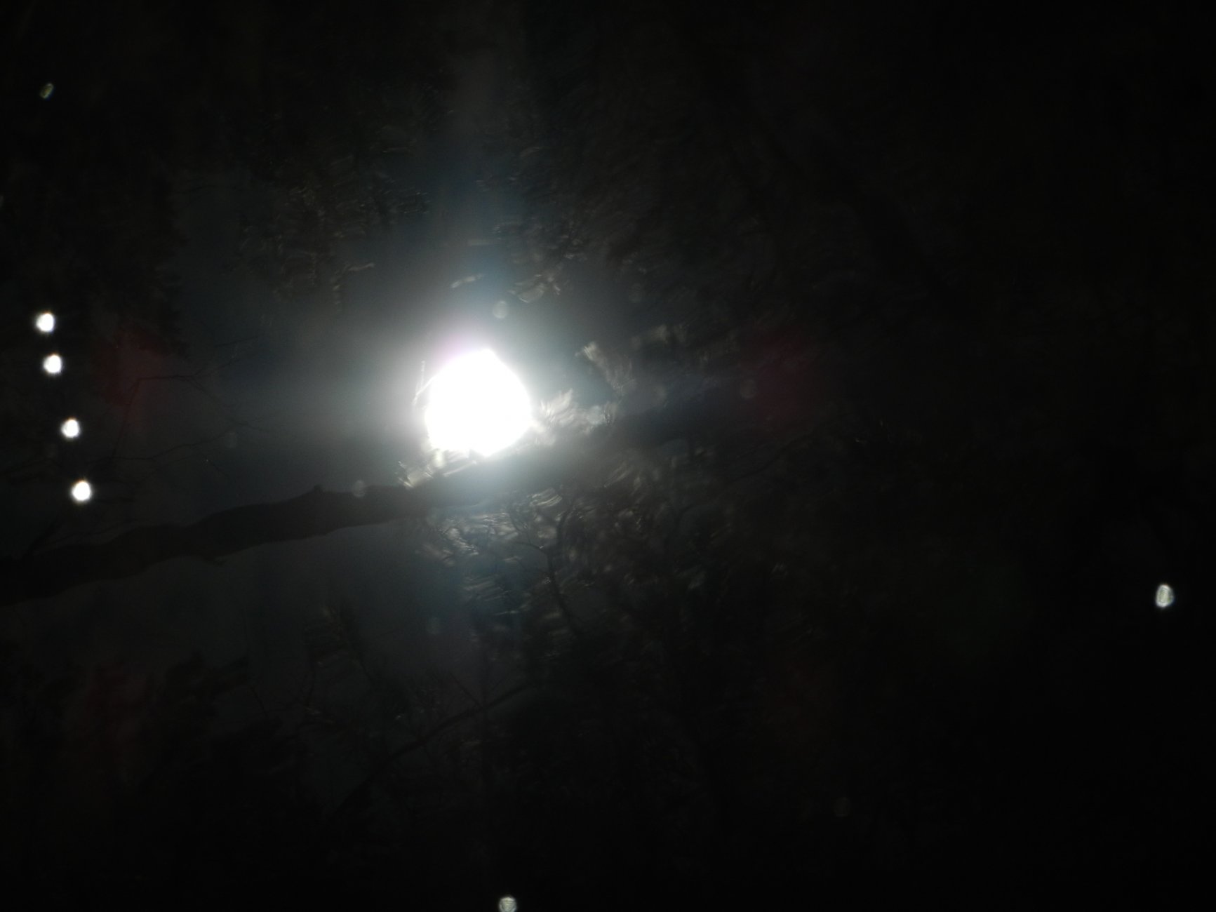DSCN2675.JPG