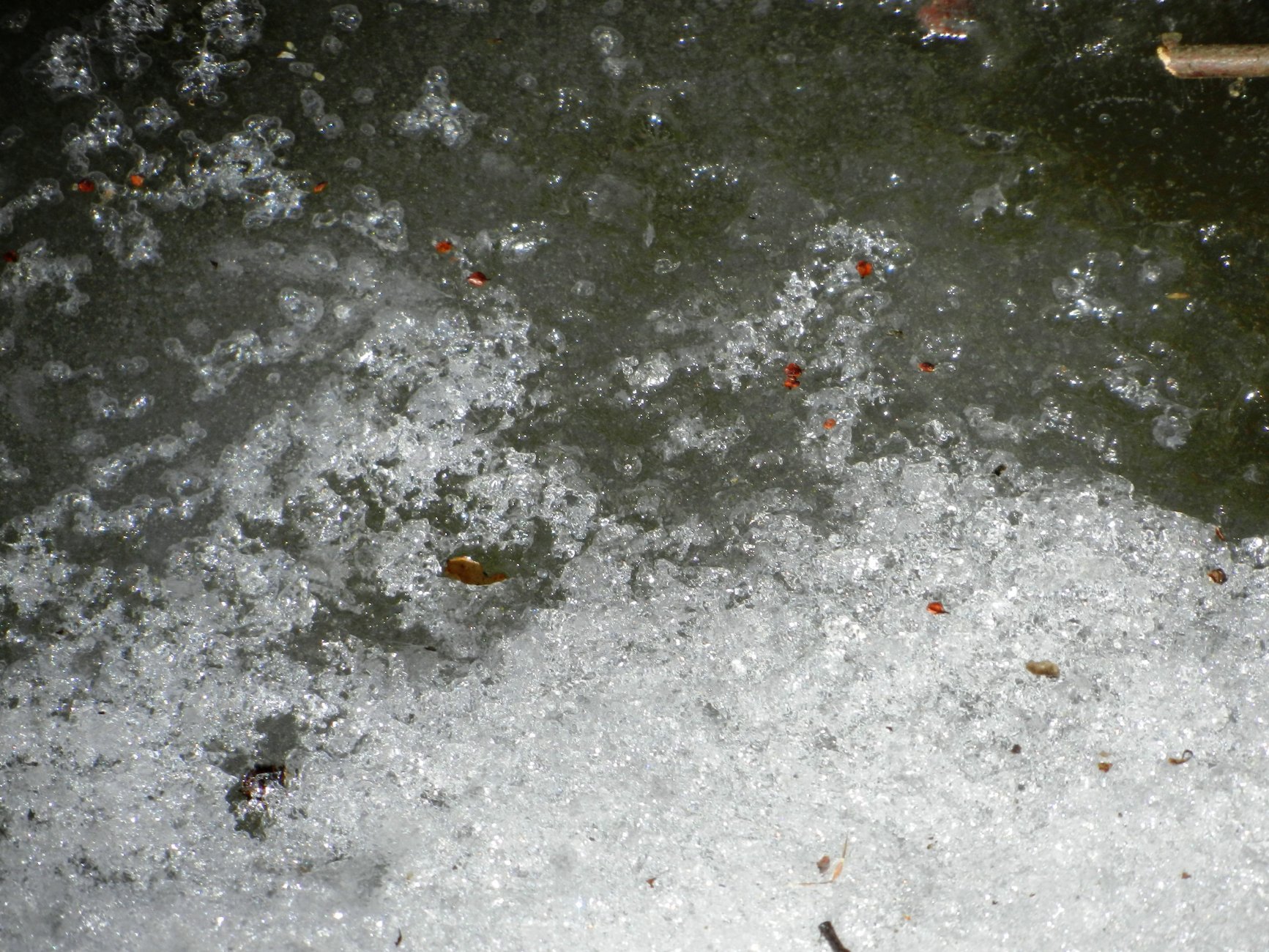 DSCN2678.JPG