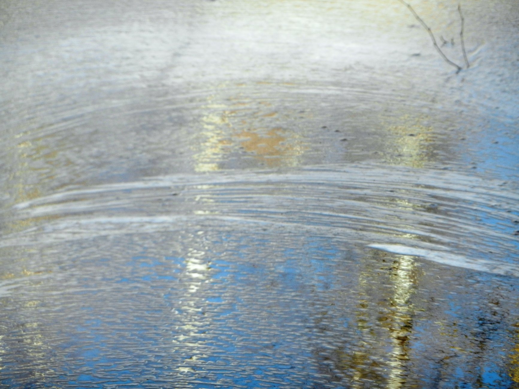 DSCN2679.JPG