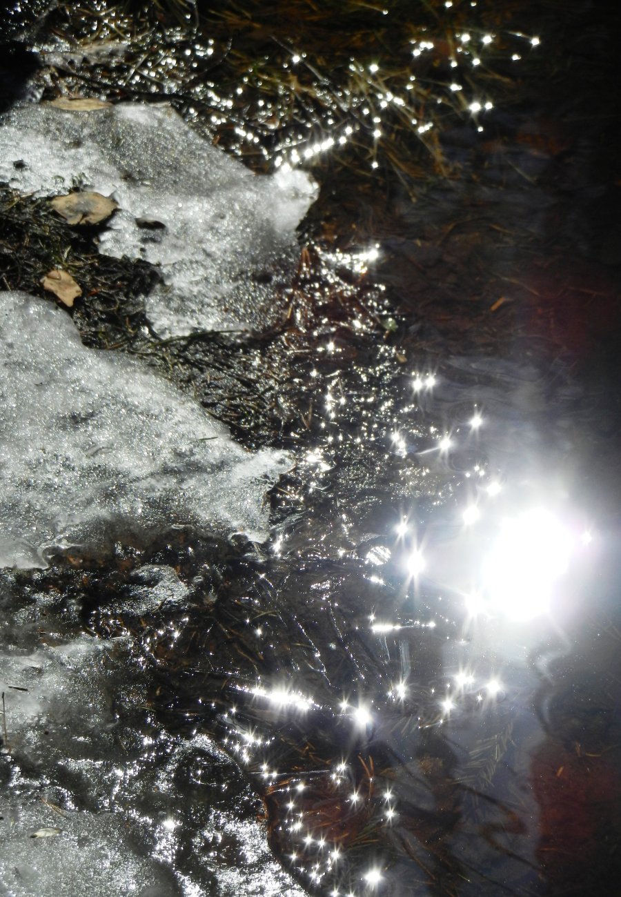 DSCN2682.JPG