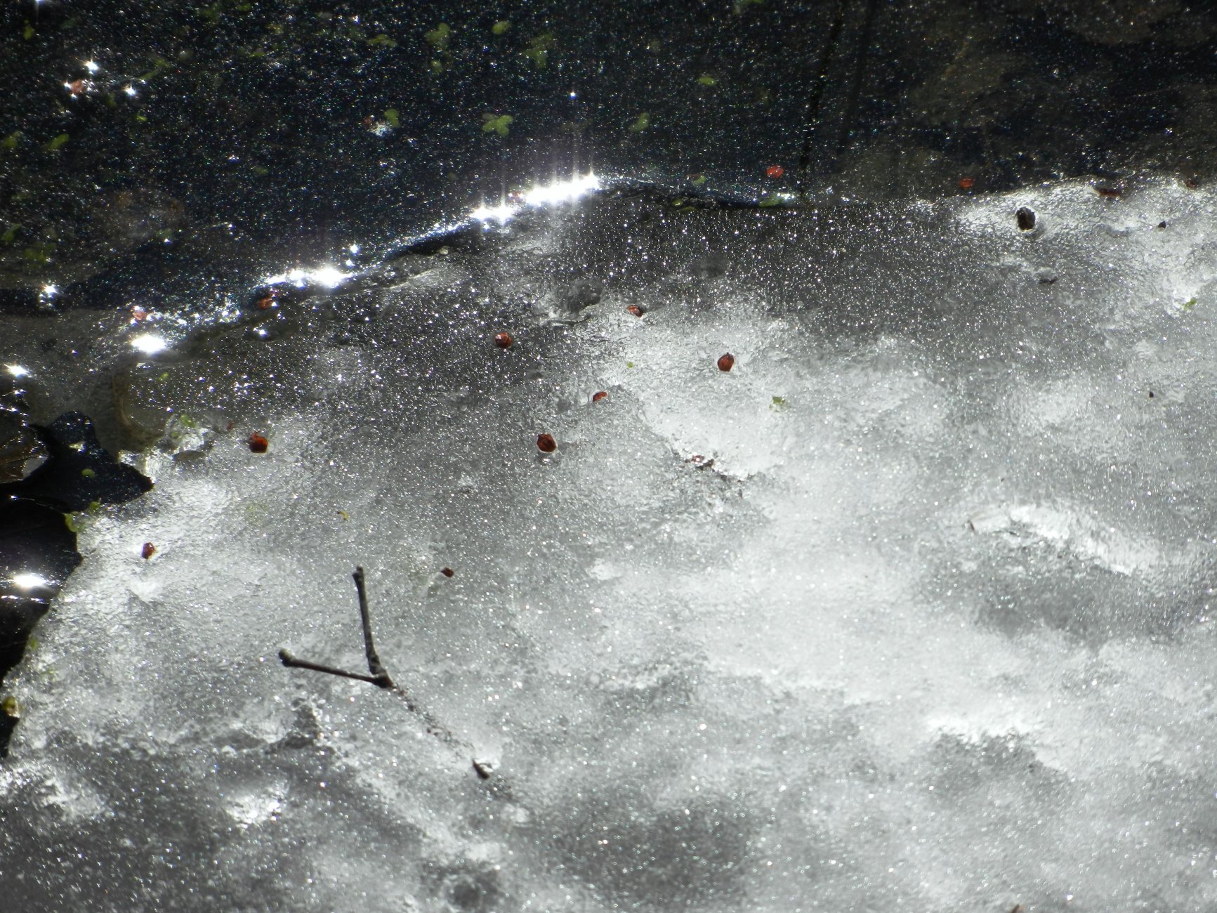 DSCN2683.JPG