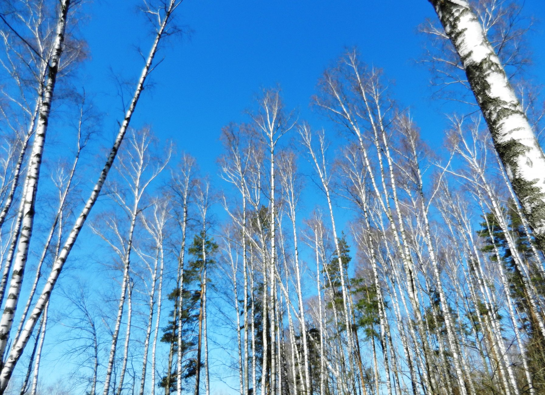 DSCN2685.JPG