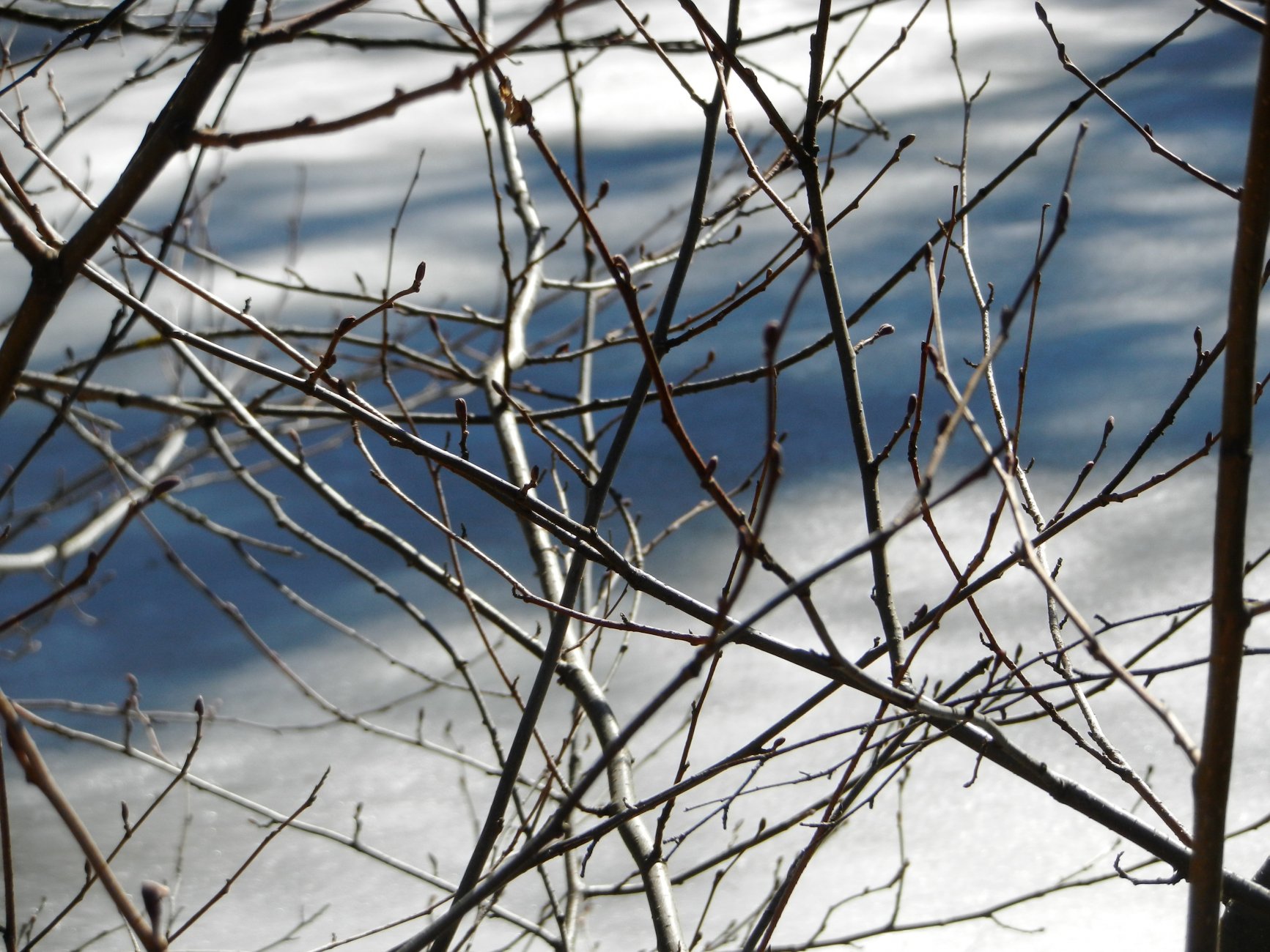 DSCN2687.JPG