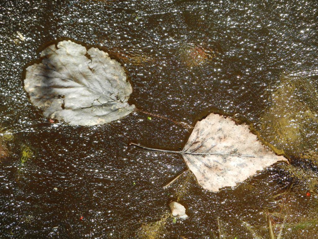 DSCN2688.JPG