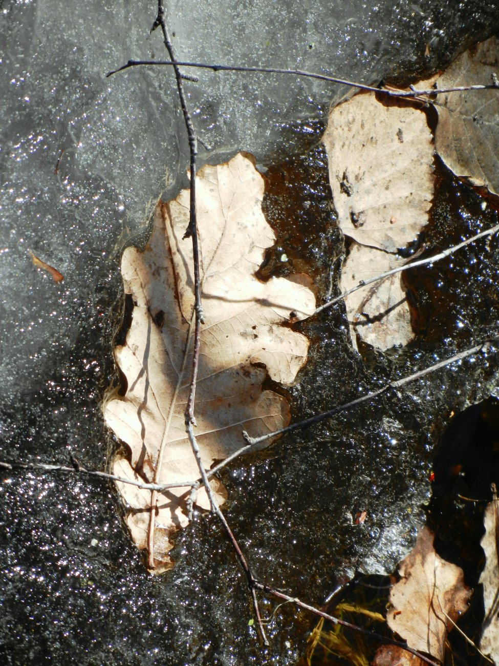 DSCN2689.JPG