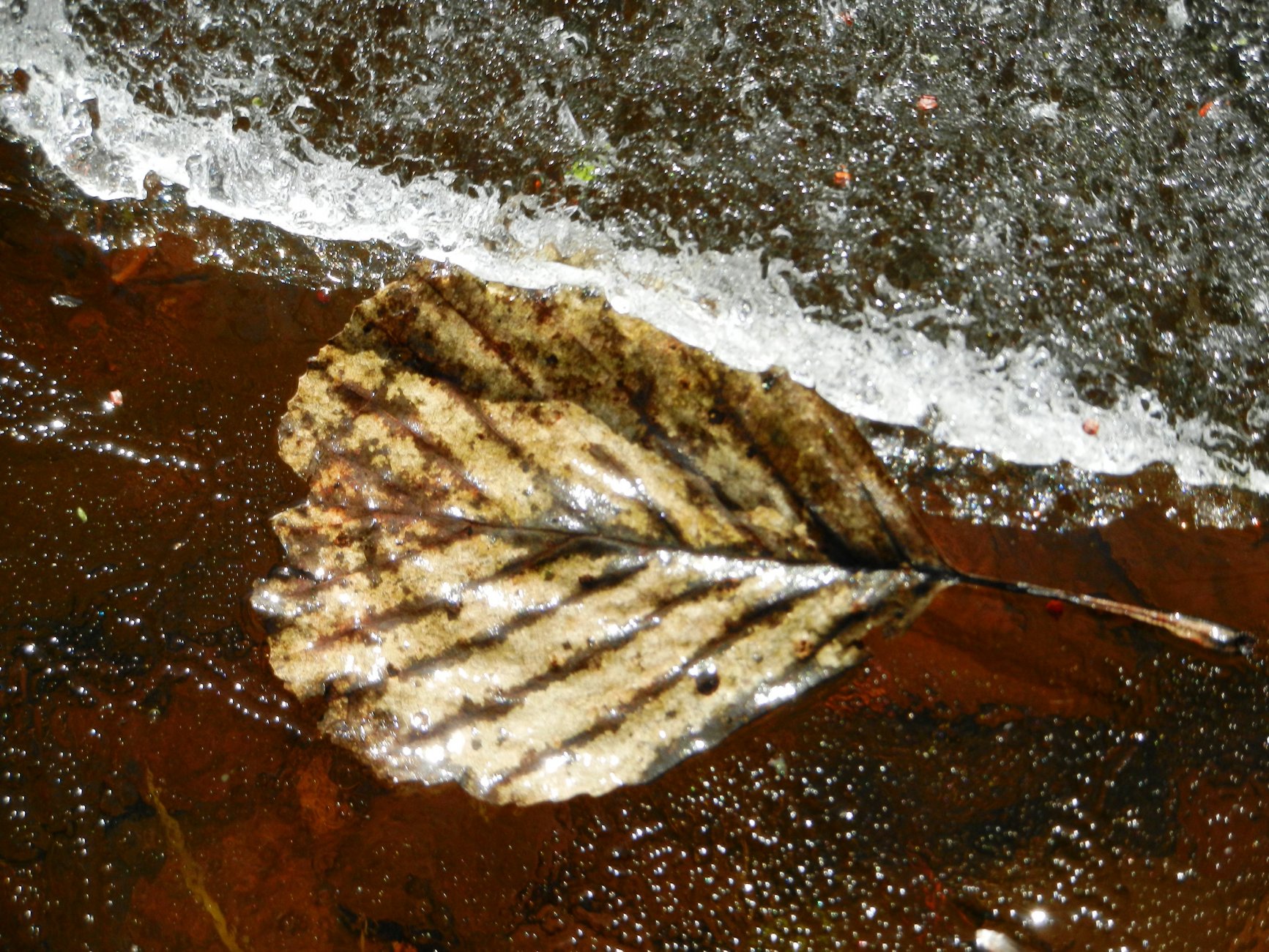 DSCN2691.JPG