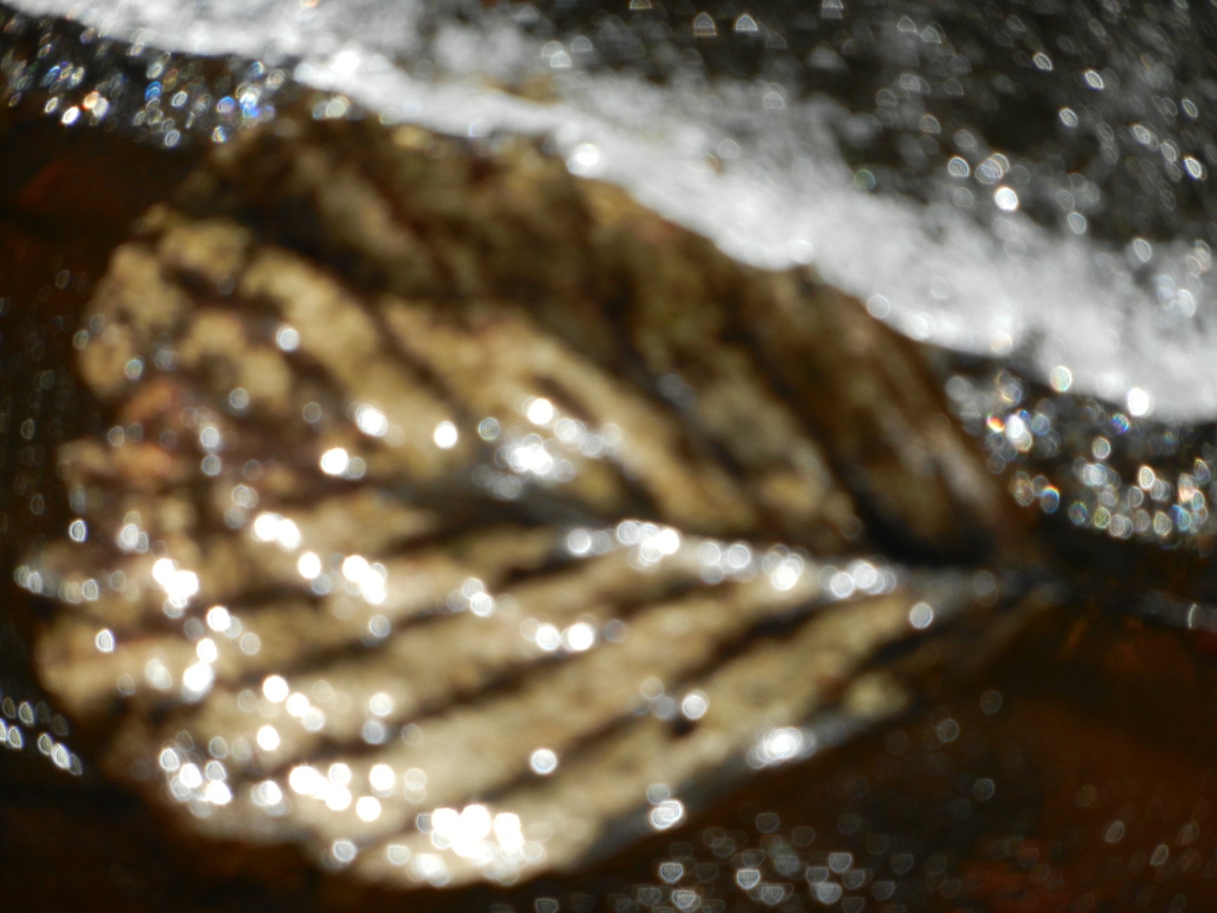 DSCN2692.JPG