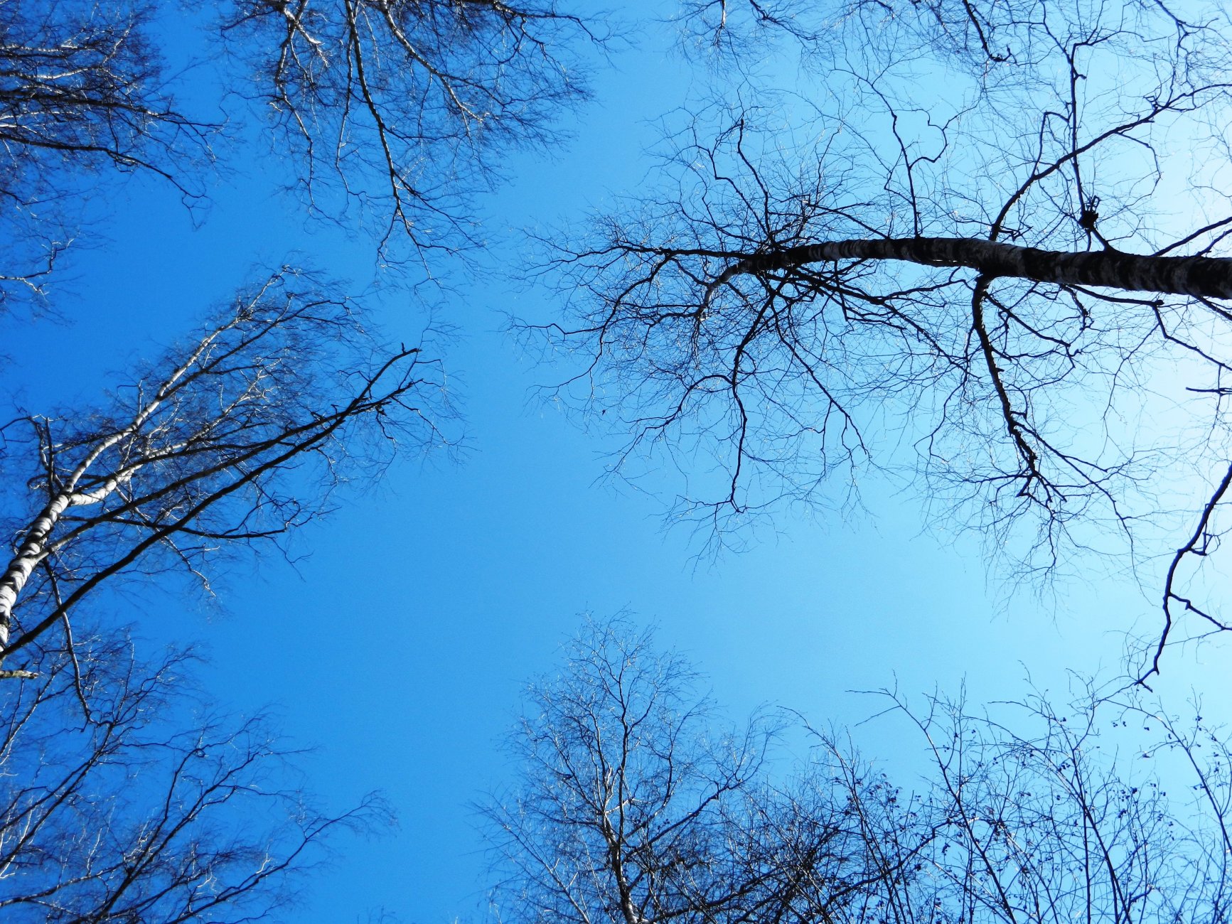 DSCN2695.JPG