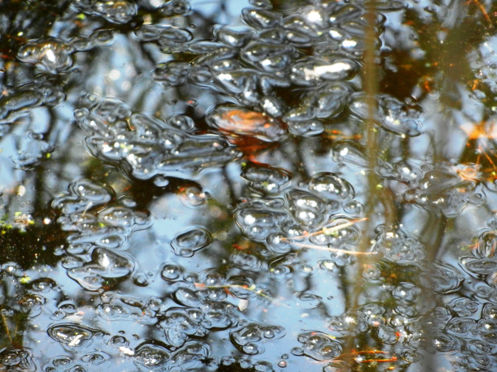 DSCN2698.JPG