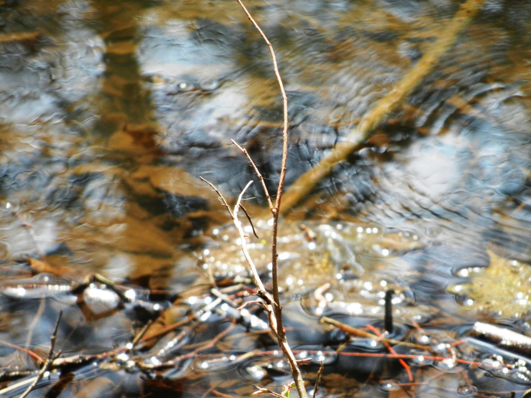 DSCN2743.JPG