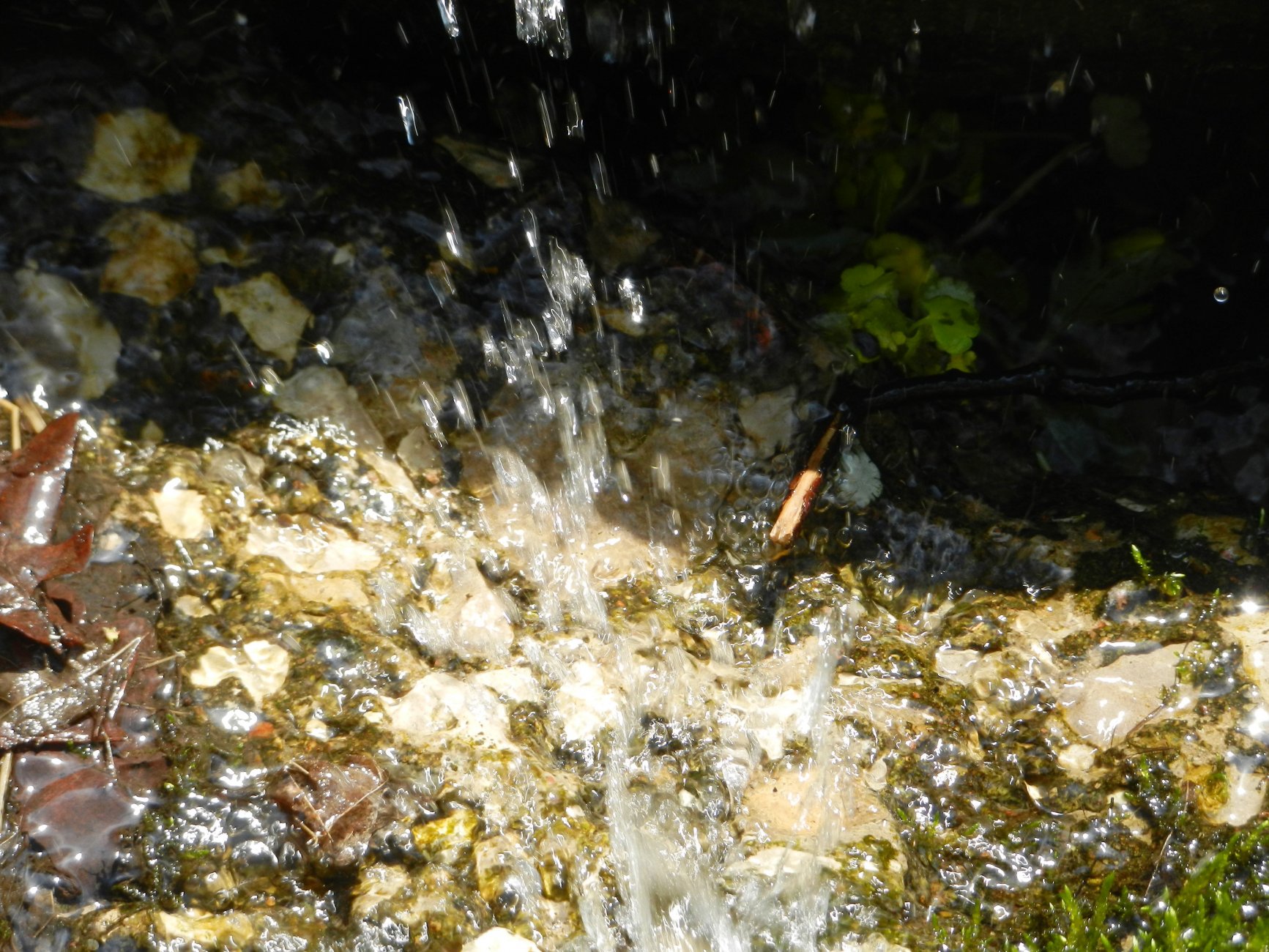 DSCN2752.JPG