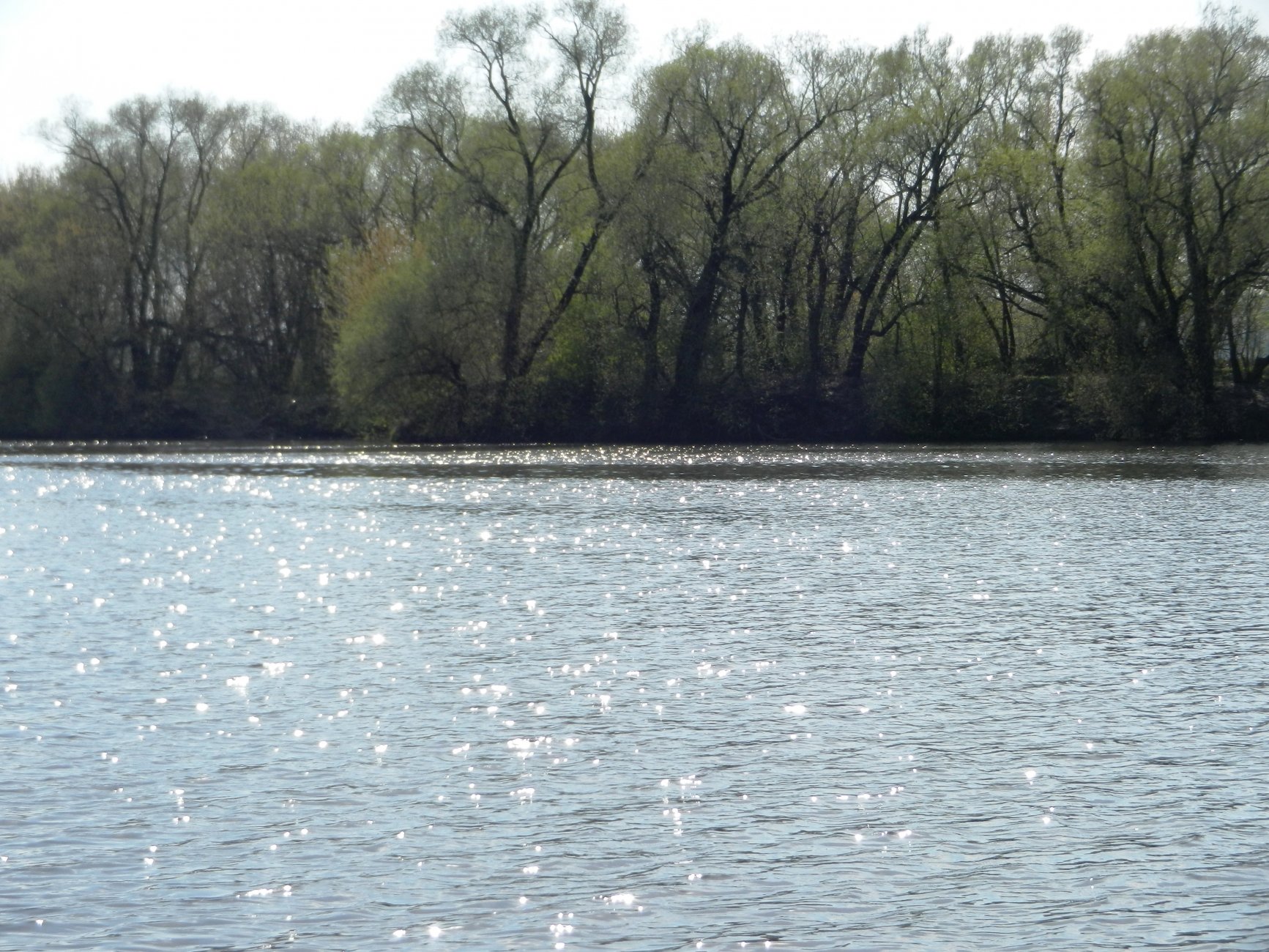 DSCN2754.JPG