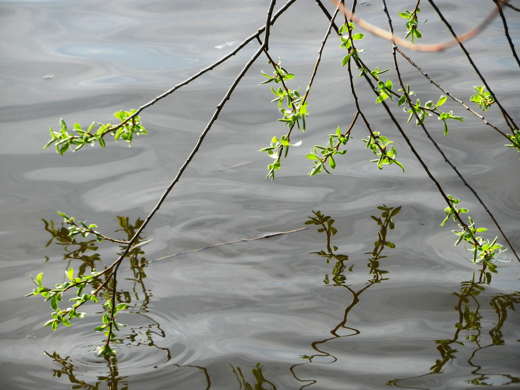 DSCN2757.JPG