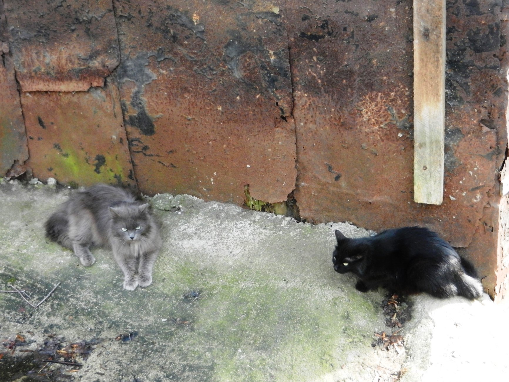 DSCN2759.JPG
