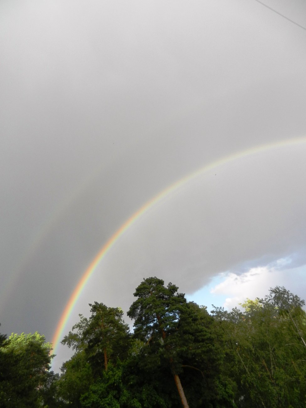 DSCN2786.JPG
