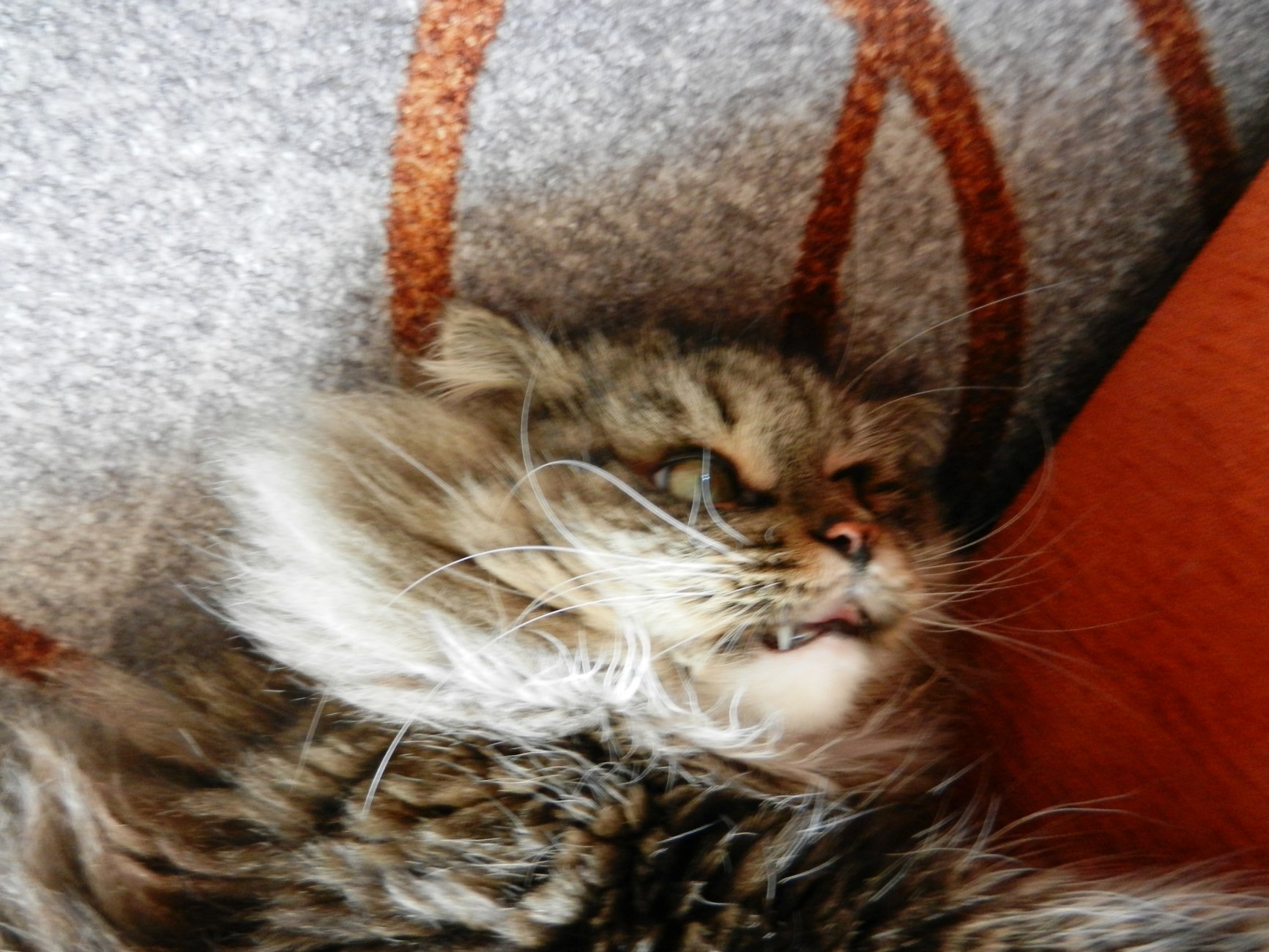 DSCN2789.JPG