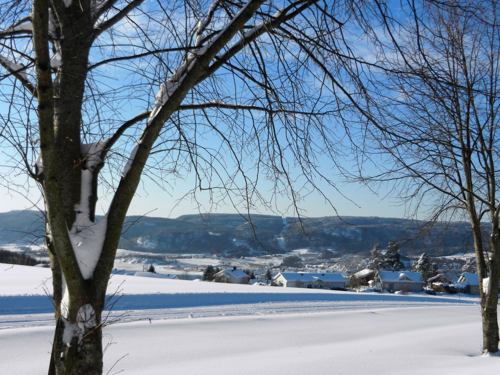 DSCN3655.JPG