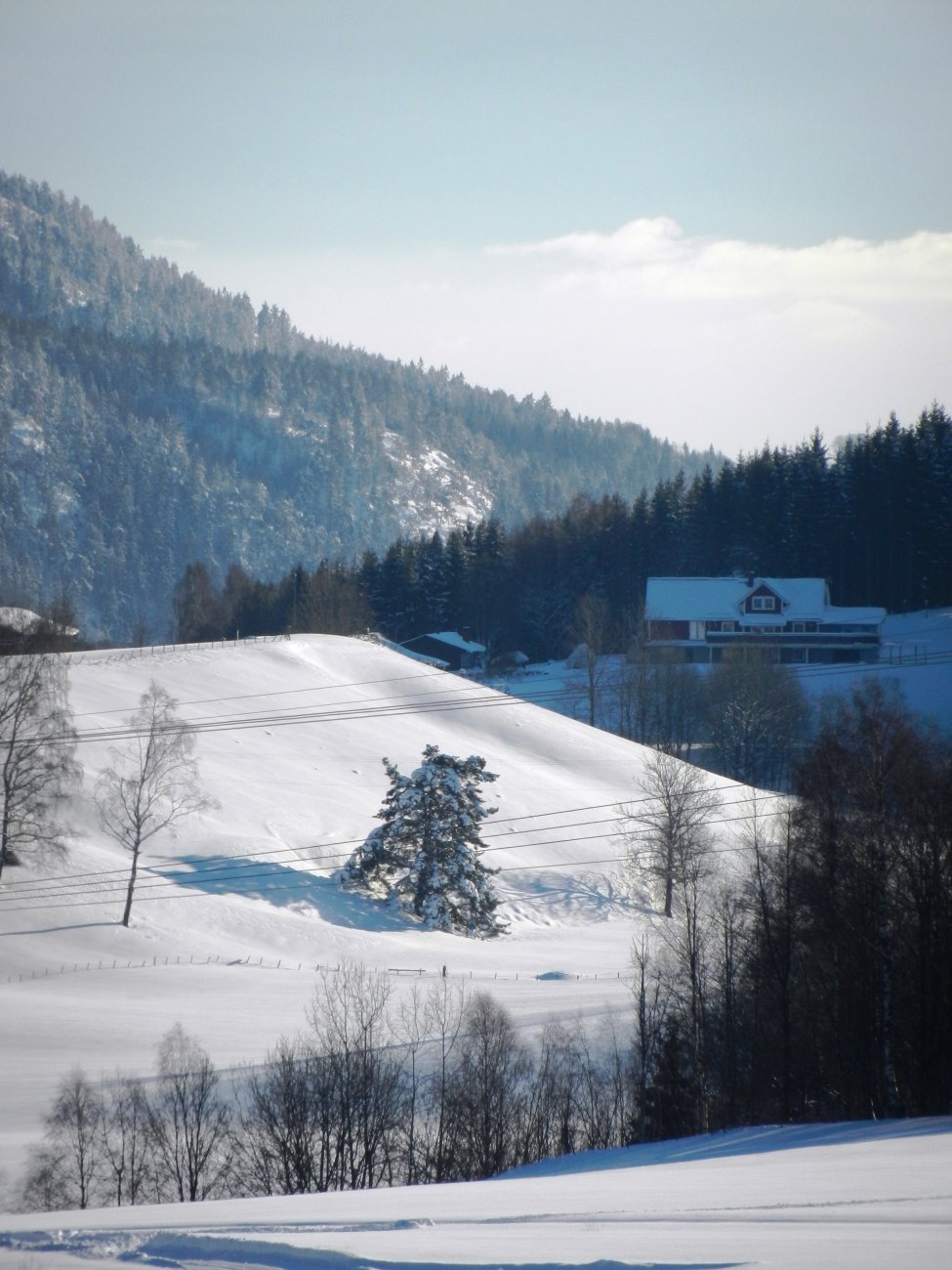DSCN3661.JPG