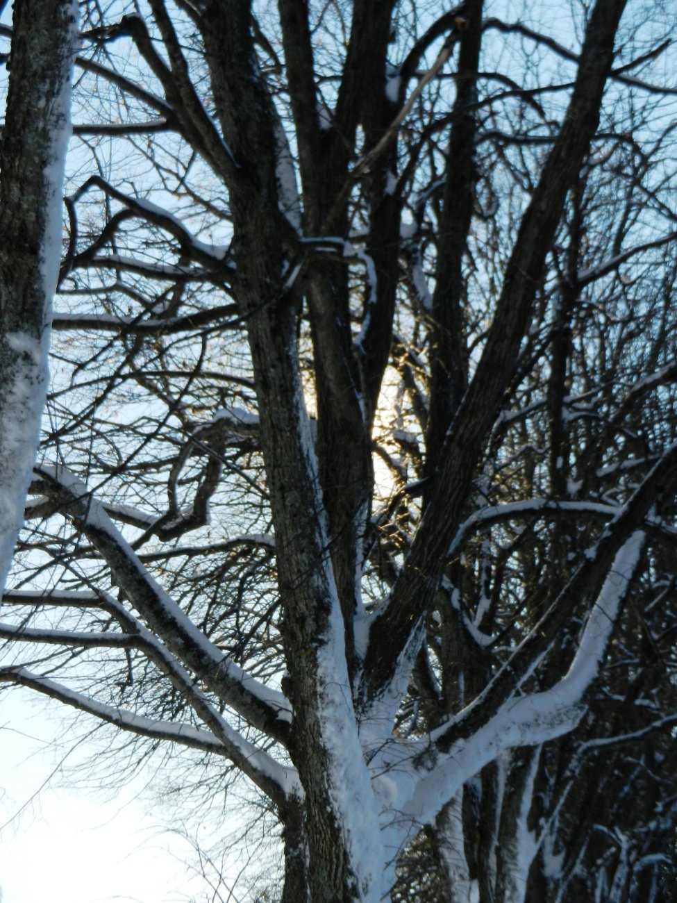 DSCN3663.JPG