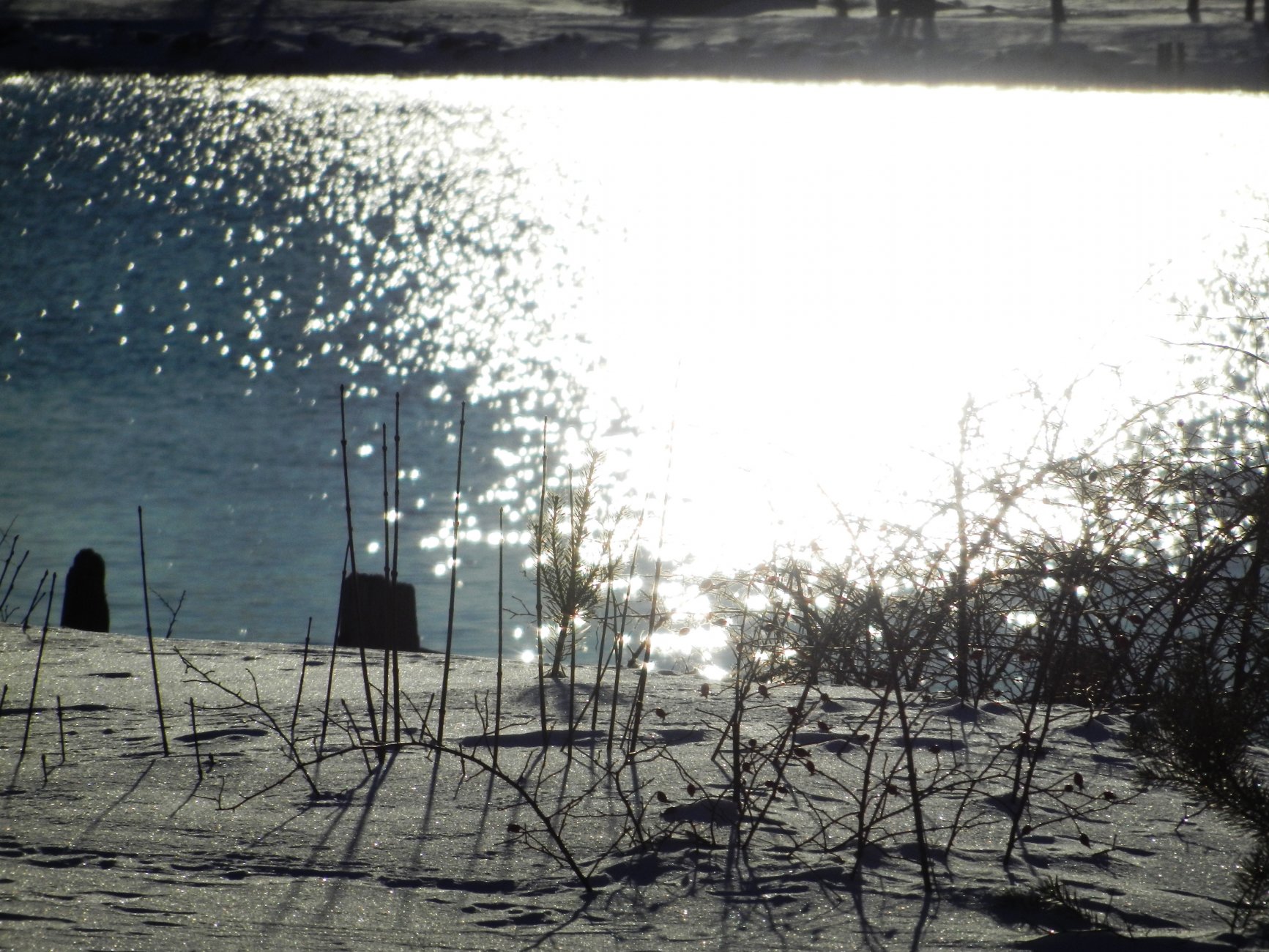 DSCN3668.JPG