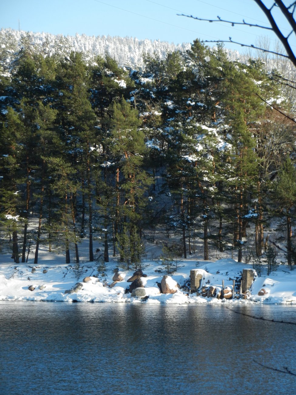 DSCN3670.JPG