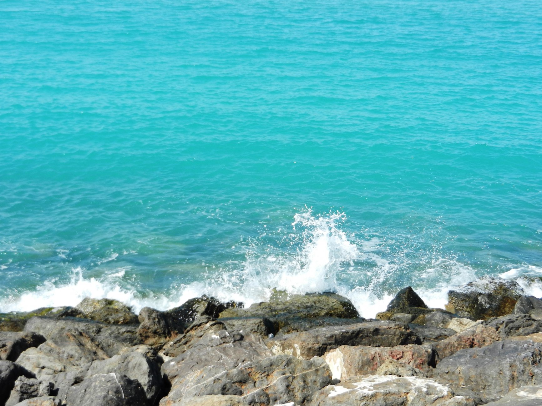 DSCN3820.JPG