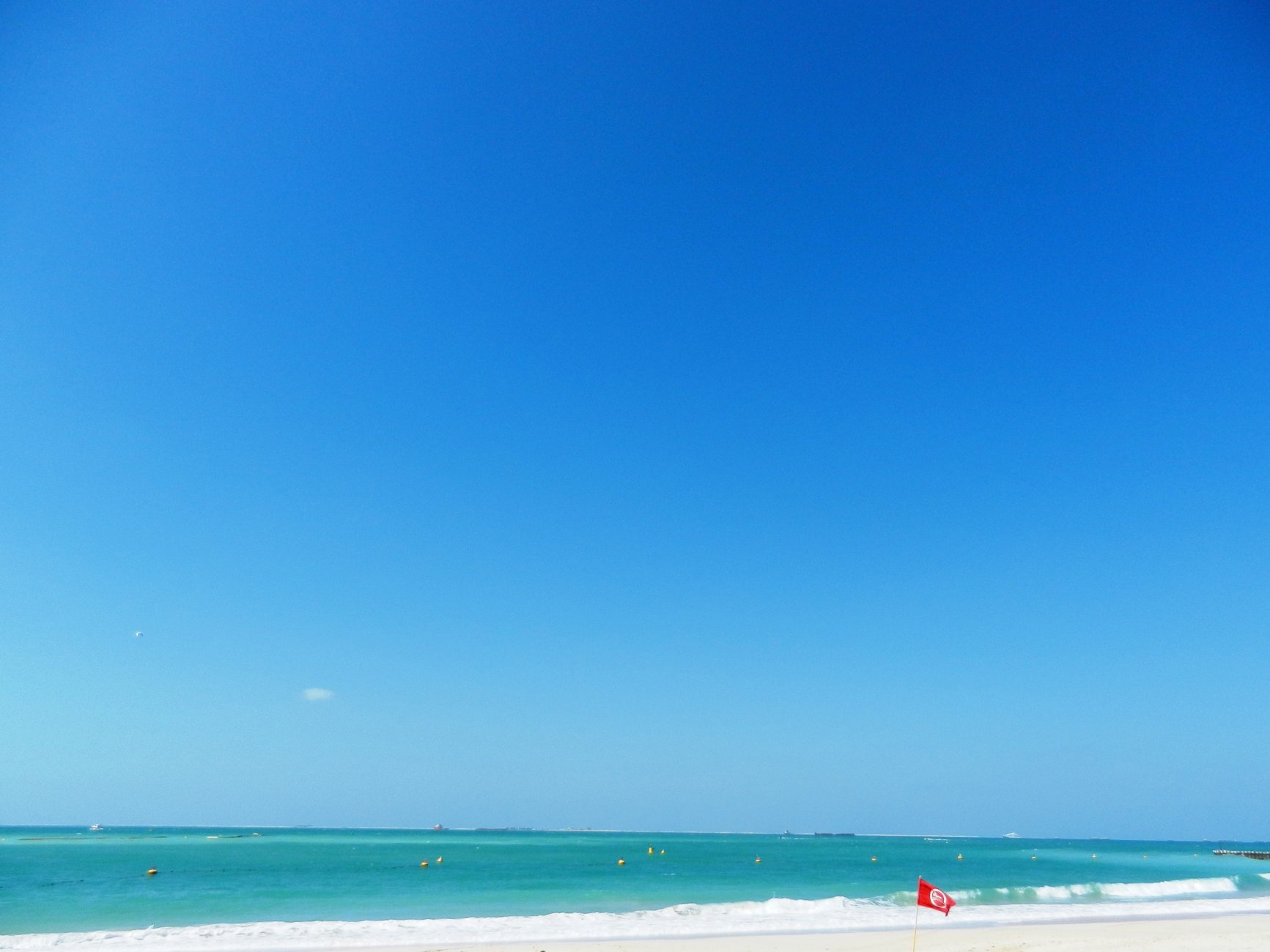 DSCN3845.JPG