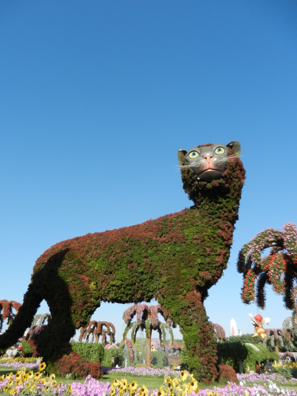 DSCN3867.JPG