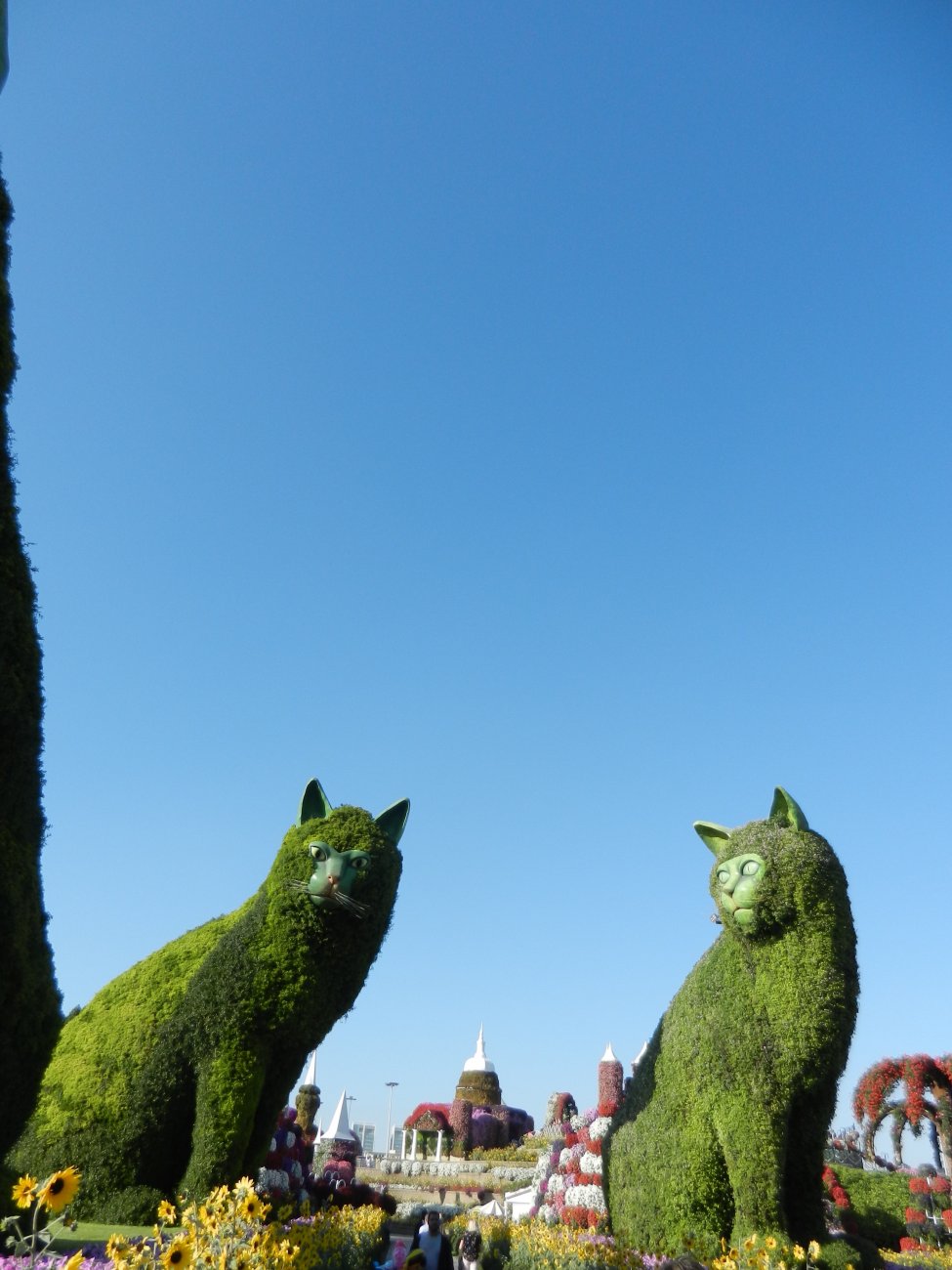 DSCN3868.JPG