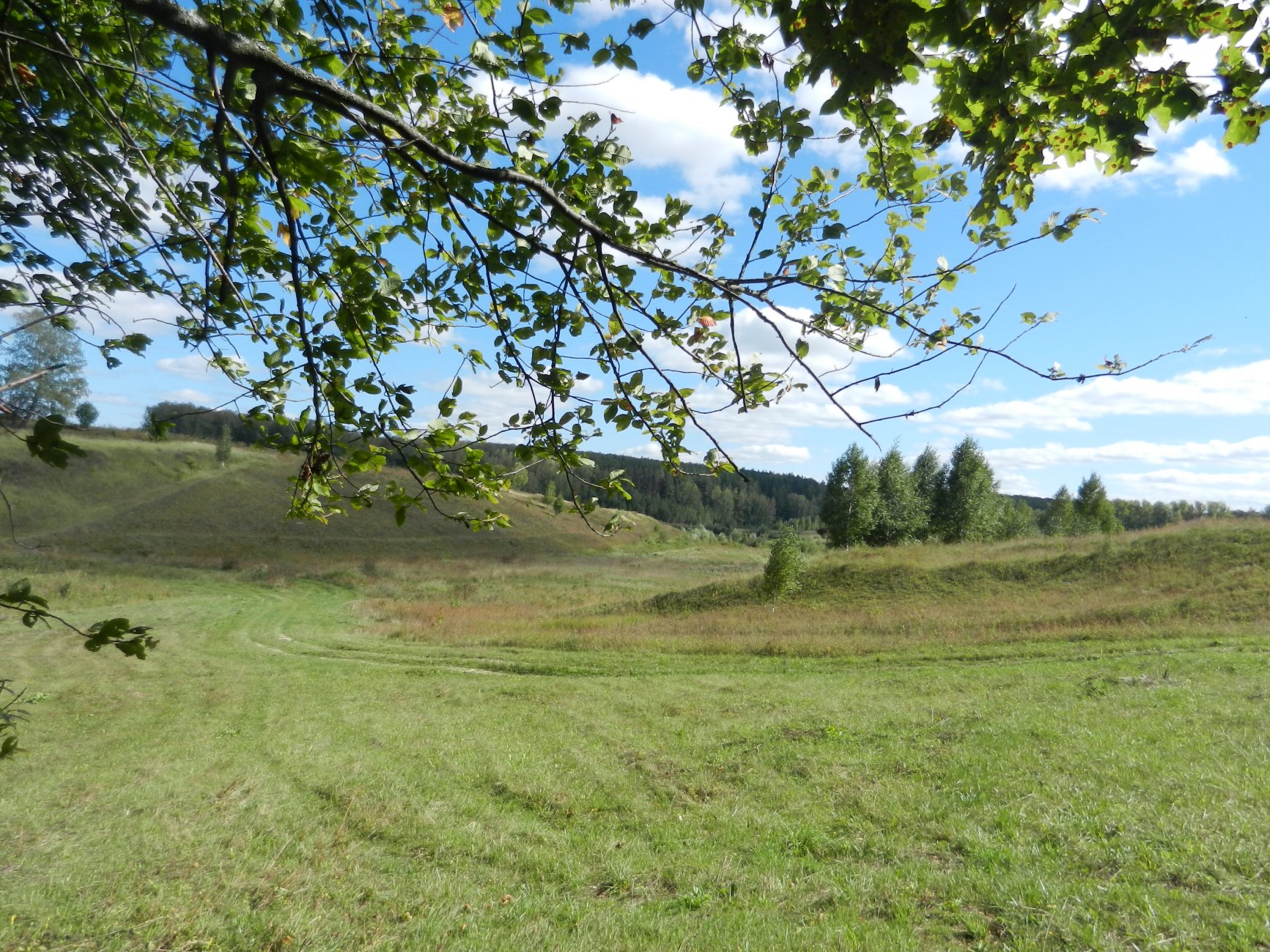 DSCN4315.JPG