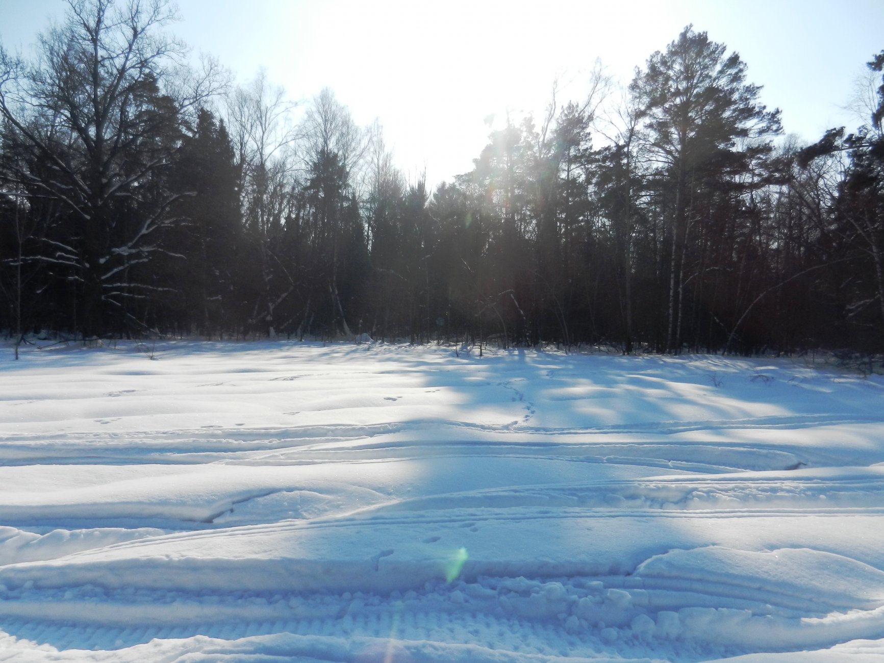 DSCN5312.JPG