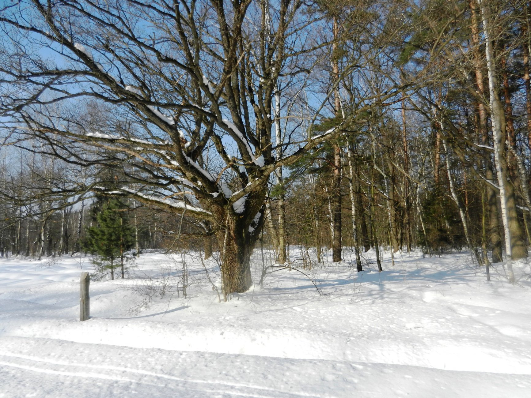 DSCN5325.JPG