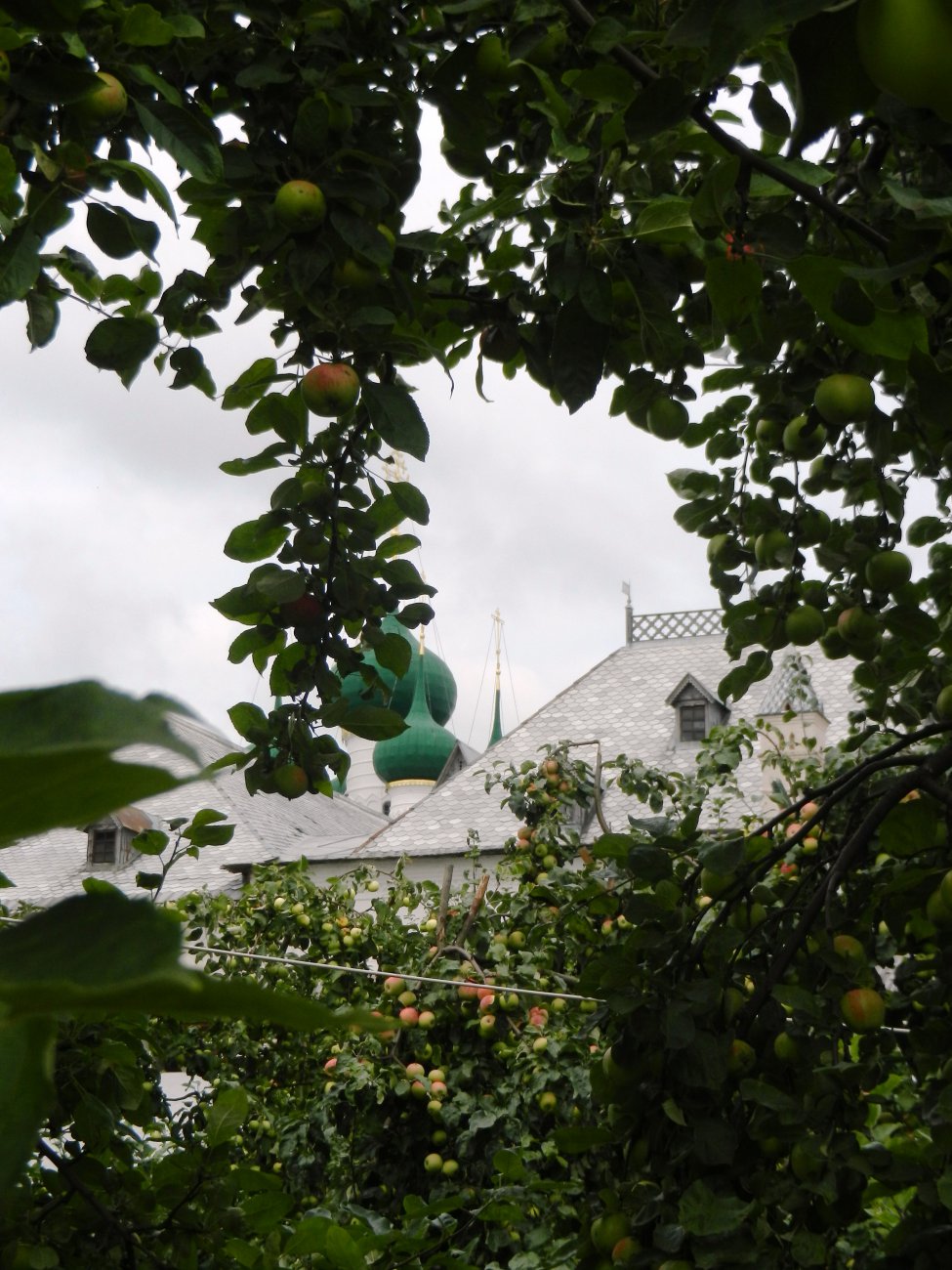 DSCN9714.JPG