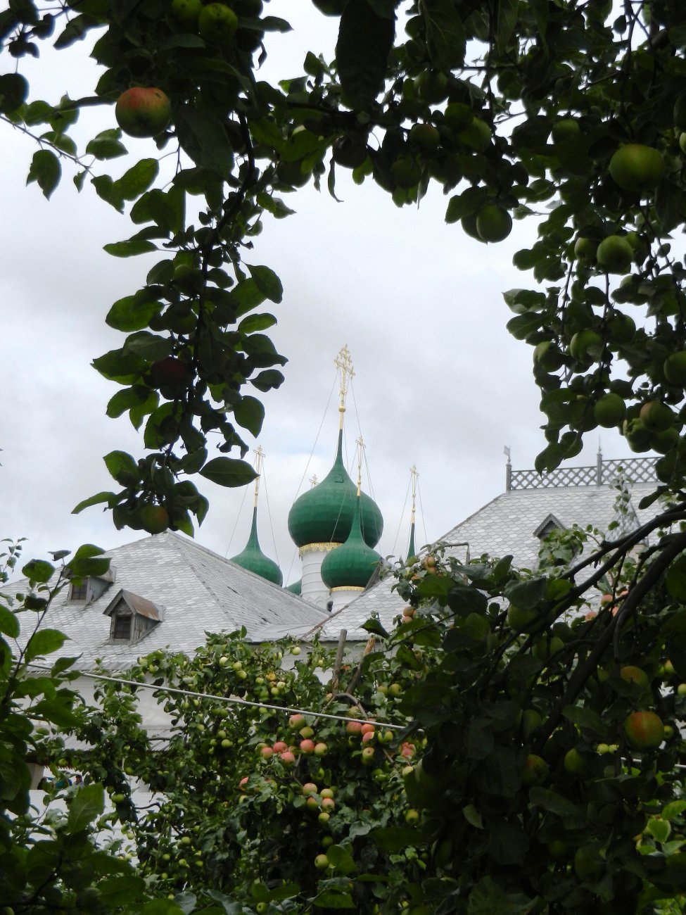 DSCN9715.JPG
