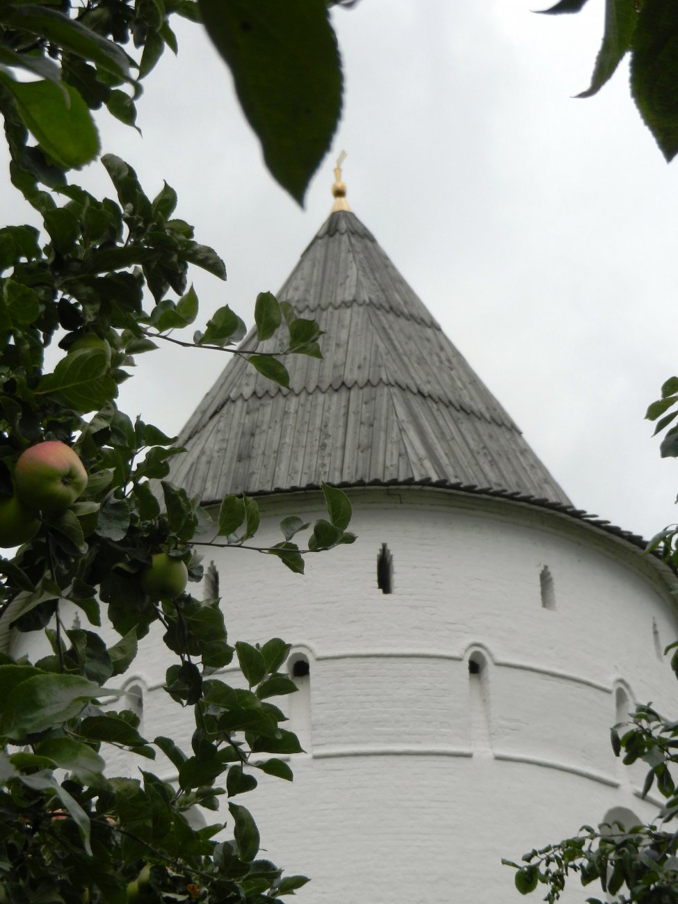 DSCN9716.JPG