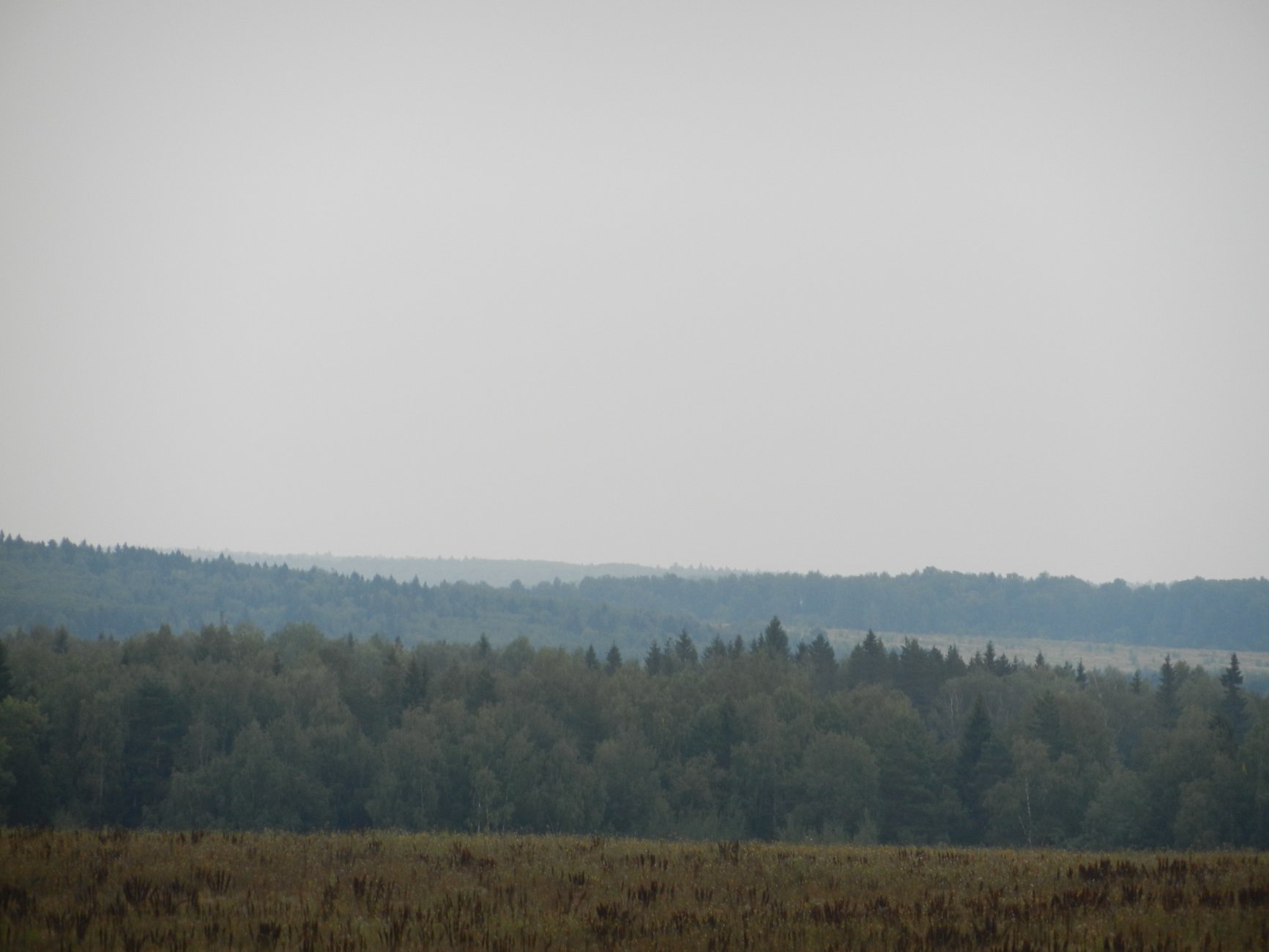 DSCN9745.JPG