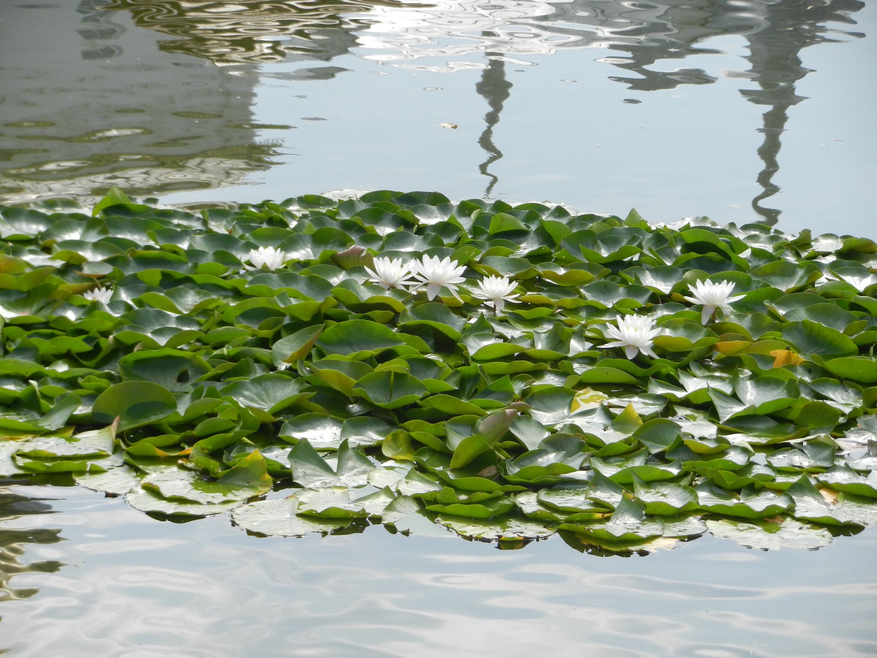 DSCN9753.JPG