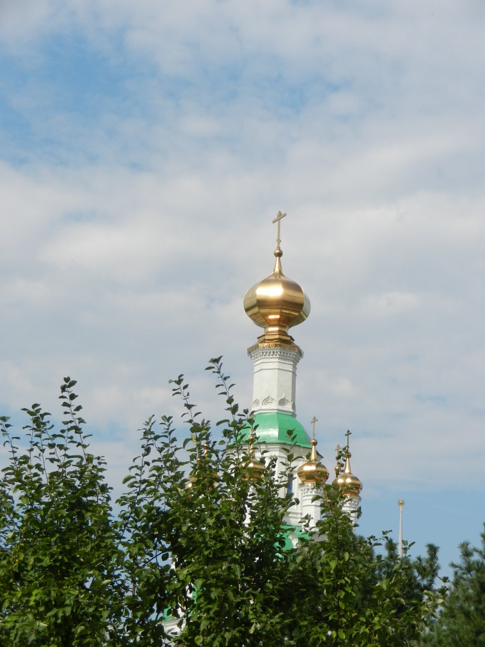 DSCN9774.JPG
