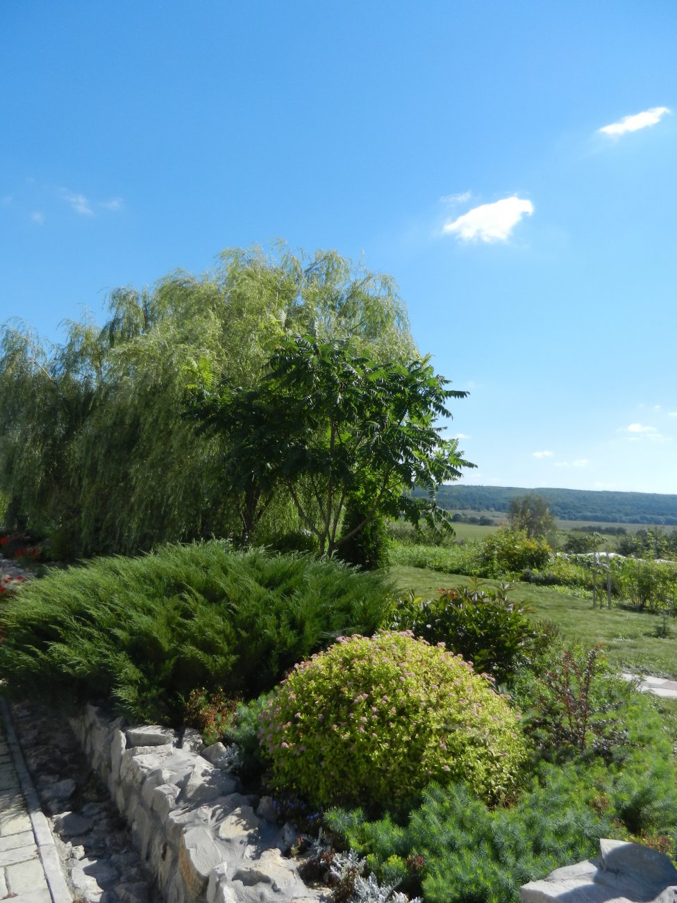 DSCN9785.JPG