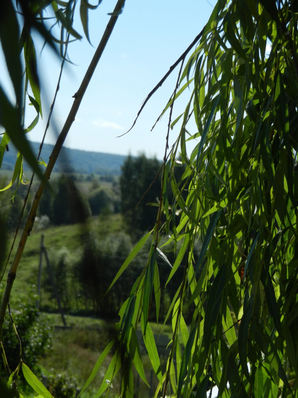 DSCN9792.JPG