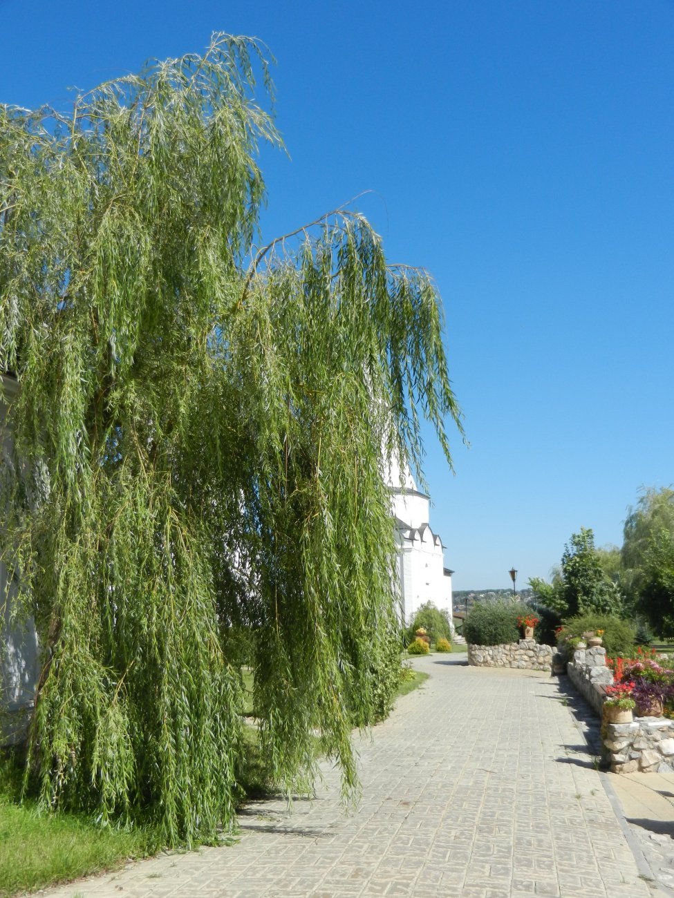 DSCN9825.JPG