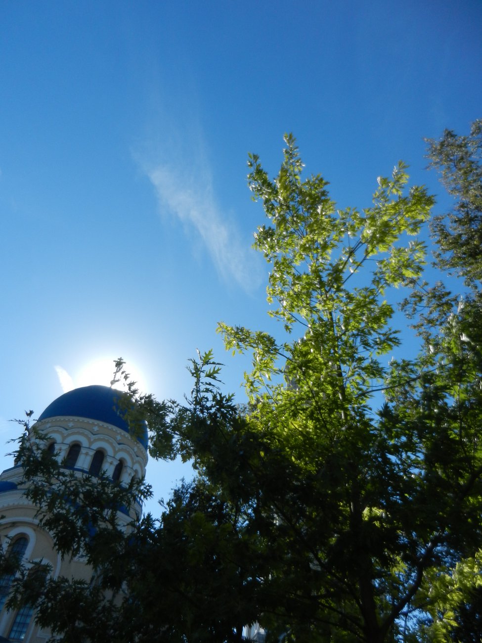 DSCN9867.JPG