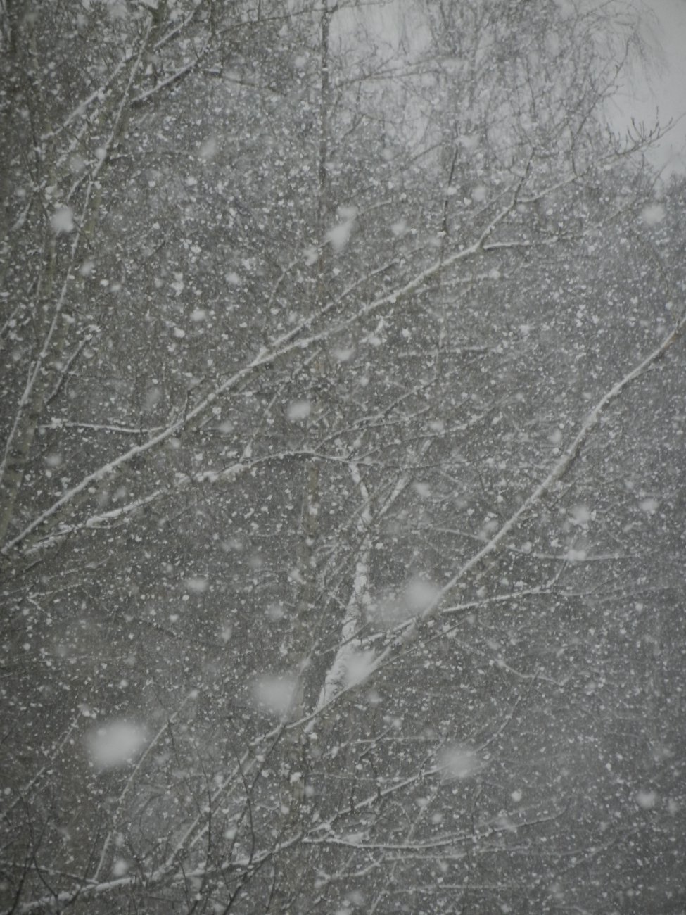 DSCN9870.JPG
